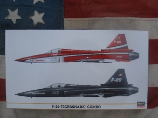 HSG00967  F-20 TIGERSHARK 